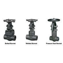 Lbs A105 Forged Steel Gate Valve